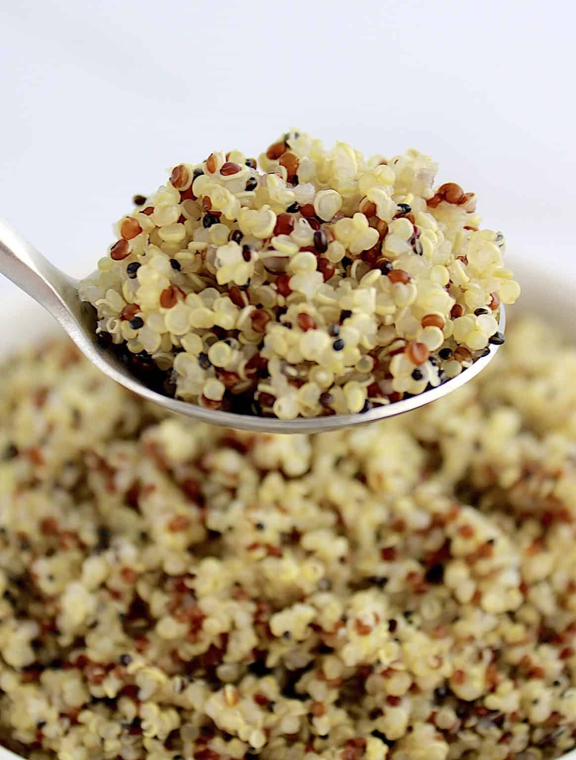How to Cook Quinoa – Nutritious Deliciousness