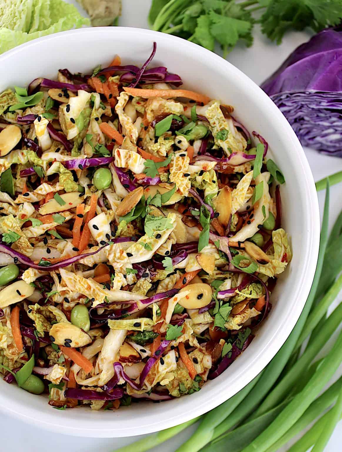 Asian Cabbage Slaw – Nutritious Deliciousness